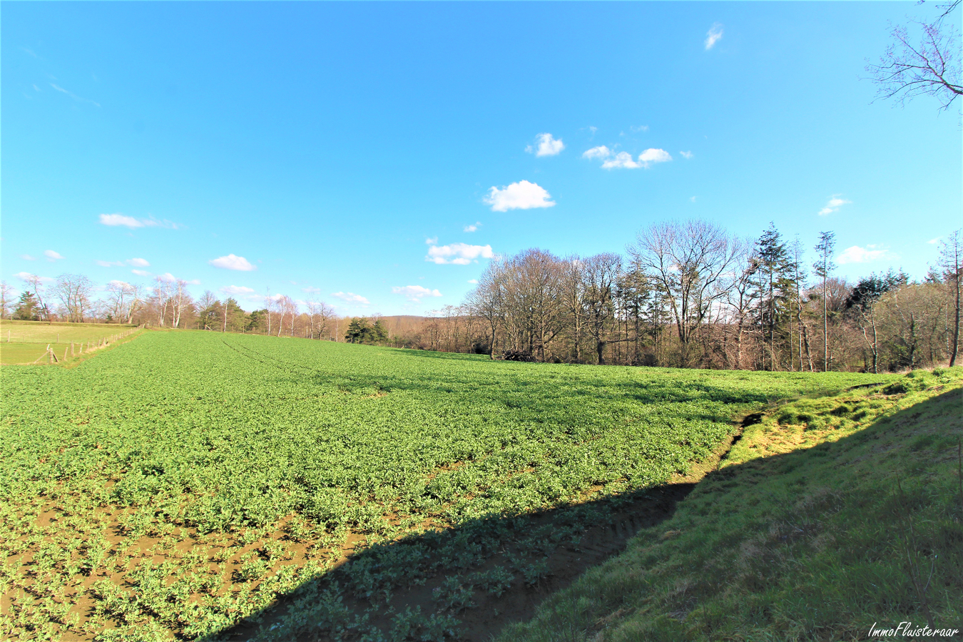 Te renoveren boerderij met hoevewoning, loods, stalgebouwen en weiland op ca. 1,61ha te Scherpenheuvel-Zichem (Vlaams-Brabant) 