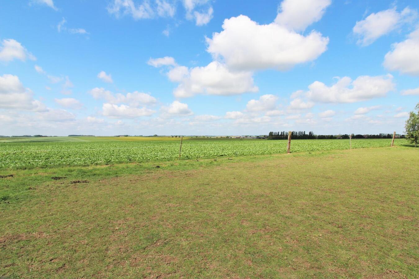 Maison avec centre &#233;questre et appartement suppl&#233;mentaire sur environ 1.3ha &#224; Hannut (Li&#232;ge) 