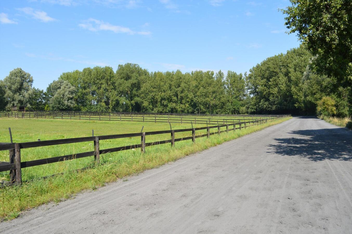 Paardenhouderij met 40 stallen en drafbaan op 4,64ha te Brakel 