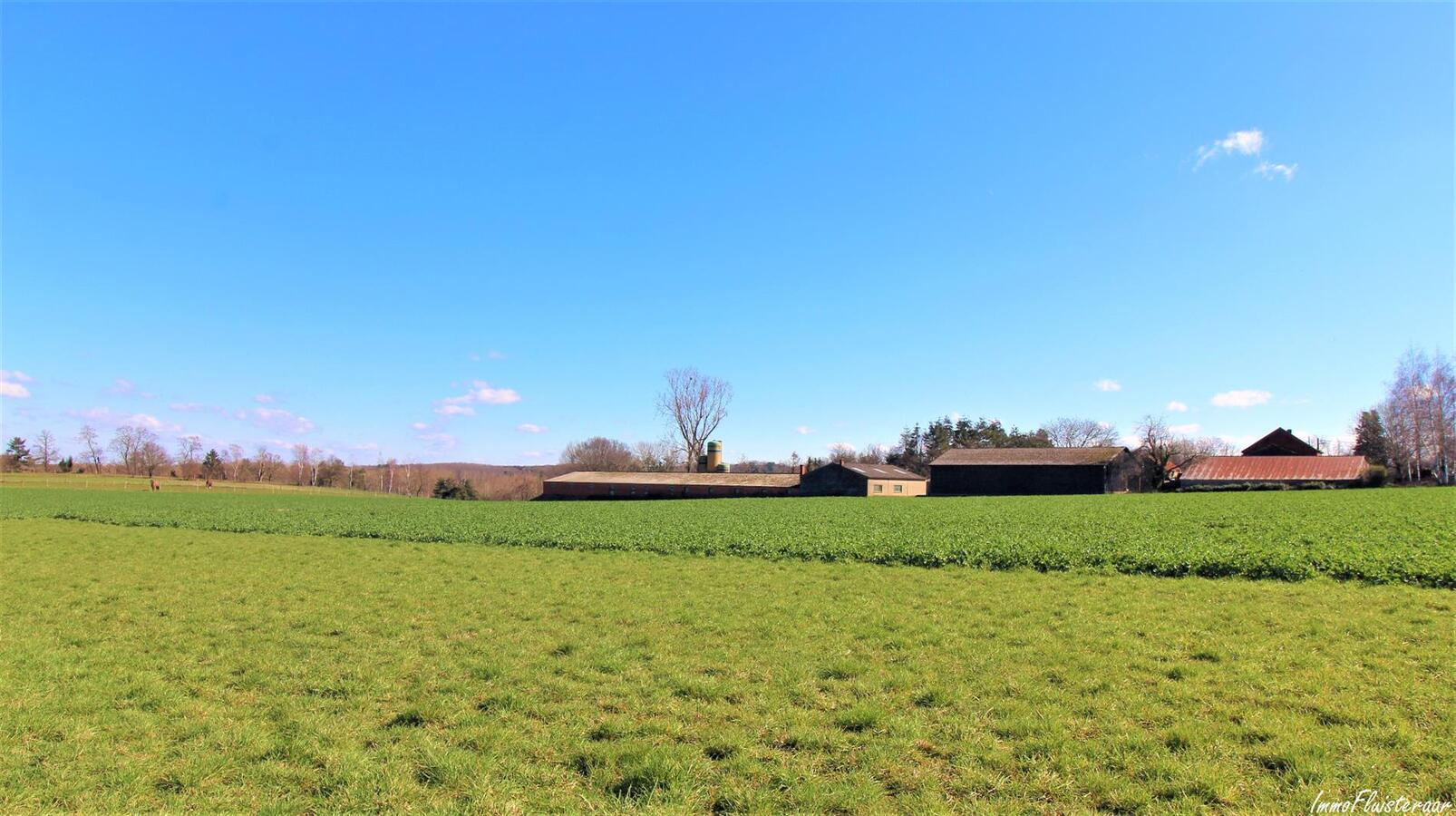 Te renoveren boerderij met hoevewoning, loods, stalgebouwen en weiland op ca. 1,61ha te Scherpenheuvel-Zichem (Vlaams-Brabant) 