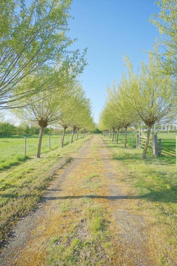 Landgoed met paardenstallen op ca. 2ha 