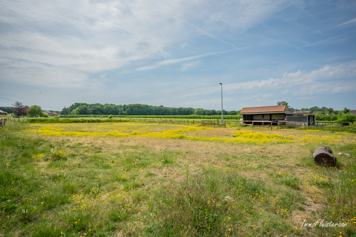 Te renoveren woning met aanhorigheden en weiland op ca. 80a te Kortenaken (Vlaams-Brabant) 