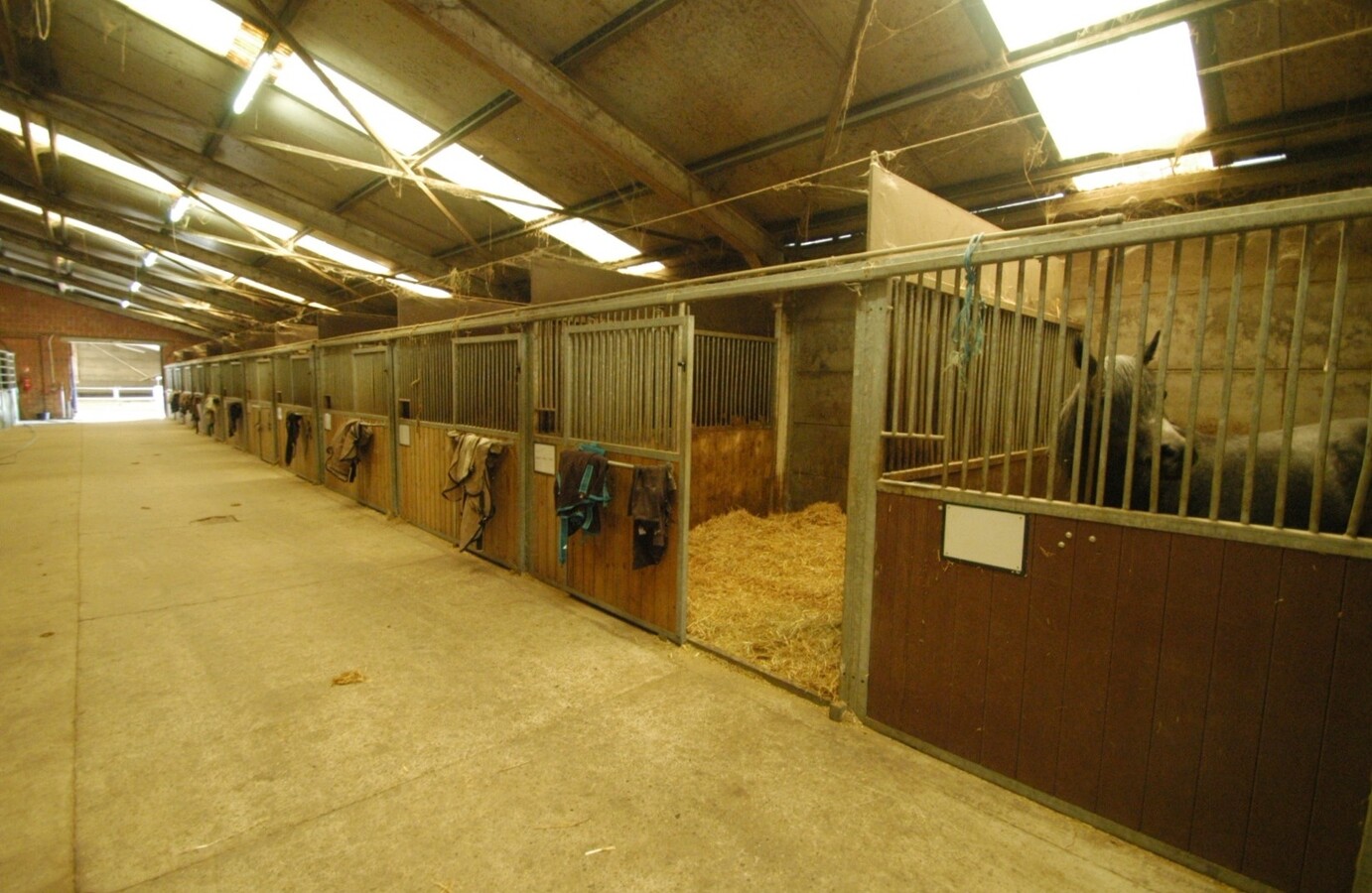 Hippisch complex ‘Azelhof’ op ca. 16 ha te Koningshooikt (Lier) 