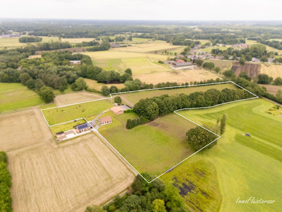 Maison spacieuse avec b&#226;timent d&#39;&#233;curie et prairies sur environ 3,8 hectares &#224; Berlaar. 