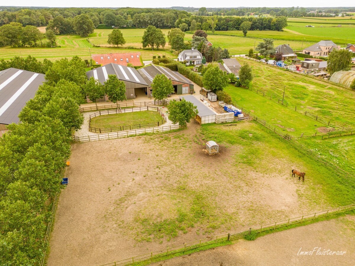 Charmante hoeve met paardenfokkerij op ca. 4,5 Ha te Noorderwijk 