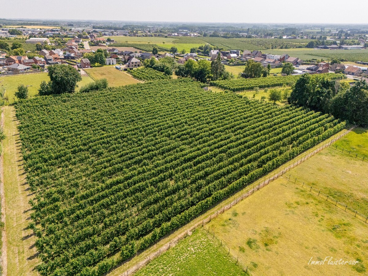 Land for sale in Herk-de-Stad