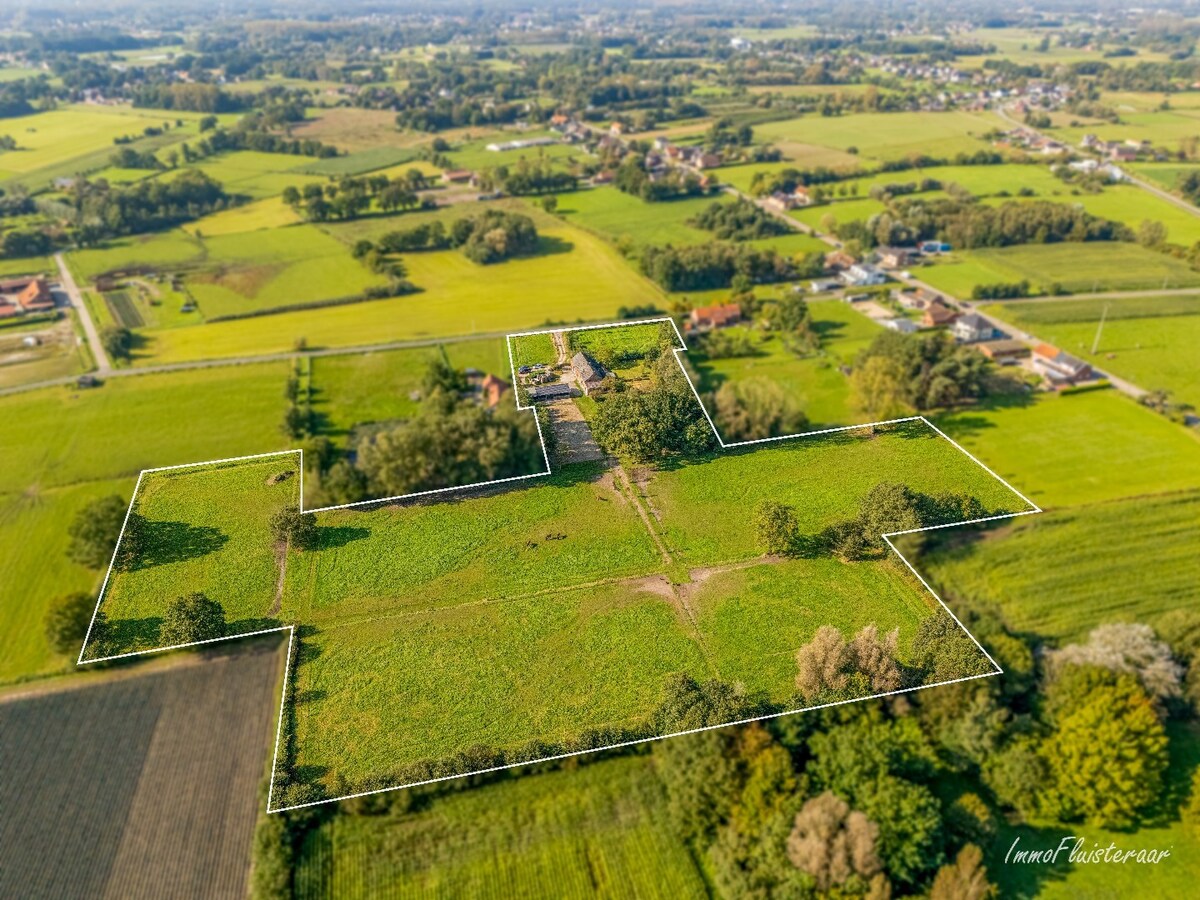 Charmante hoeve met stallen op ca. 8.000 m2  te Heist-op-den-Berg (Mogelijkheid tot aankoop extra ca. 2,7 ha weiland) 