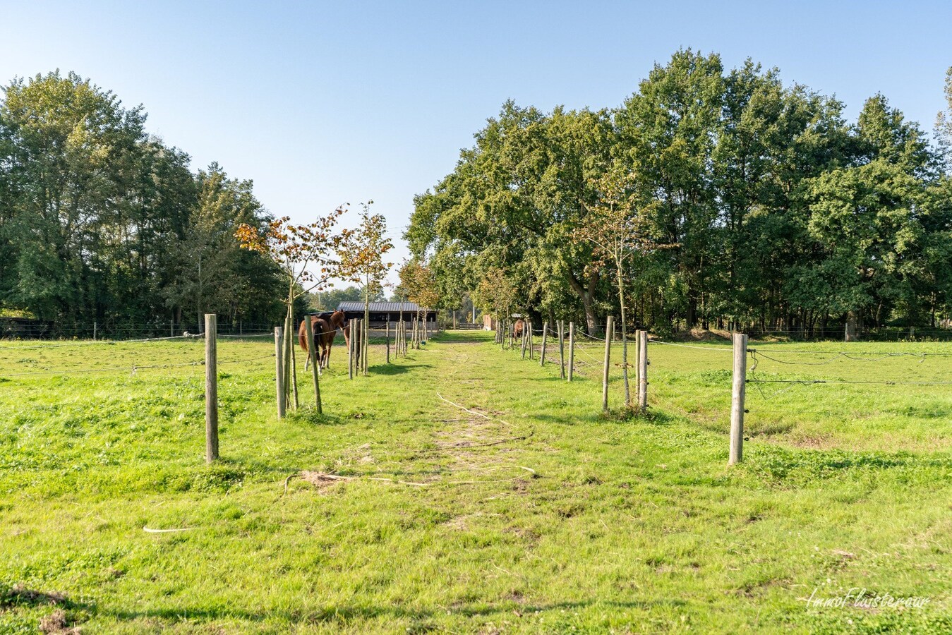 Charmante hoeve met stallen op ca. 8.000 m2  te Heist-op-den-Berg (Mogelijkheid tot aankoop extra ca. 2,7 ha weiland) 