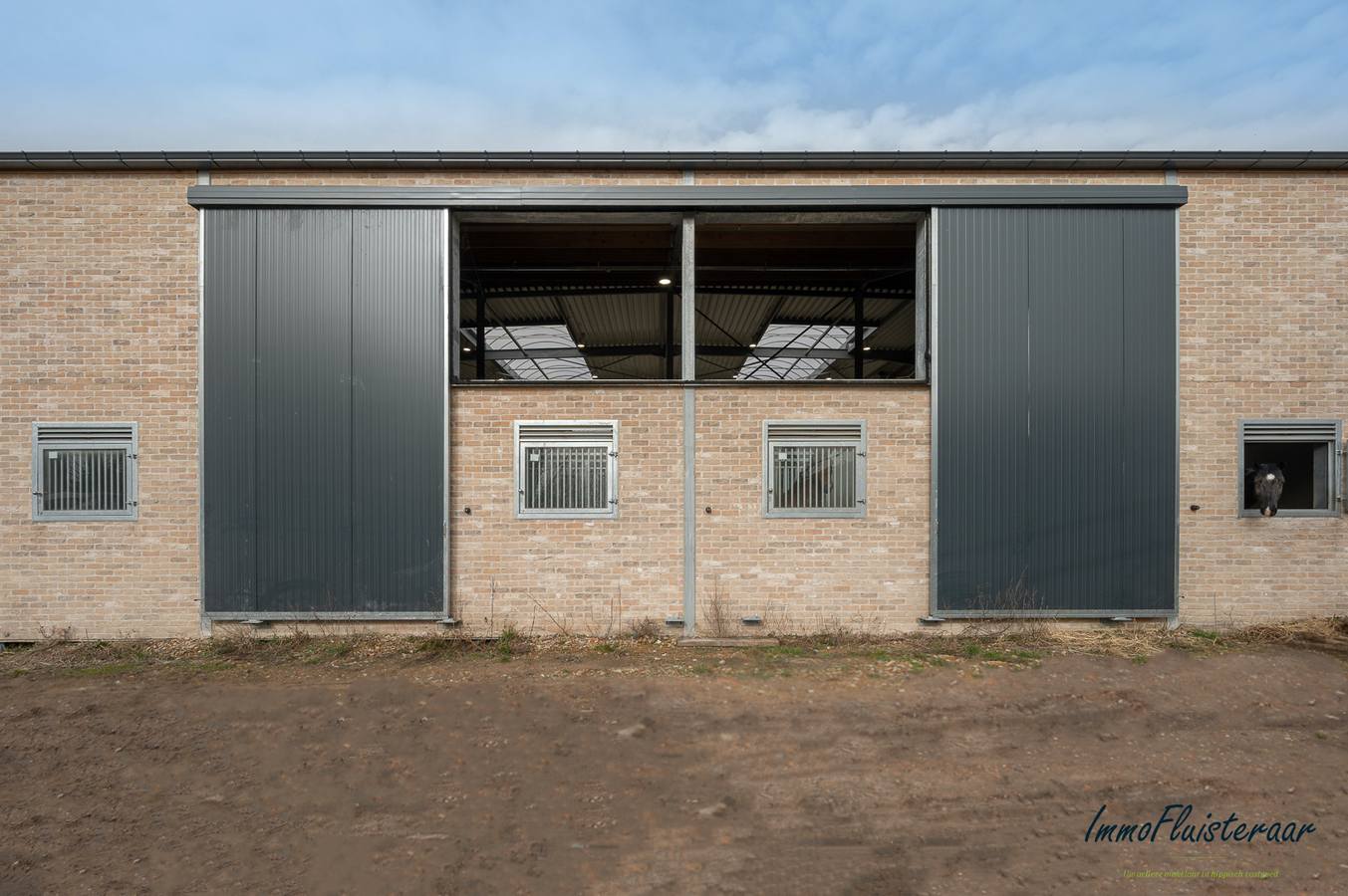 Nieuwbouw hippisch centrum met casco villa te West-Vlaanderen. 