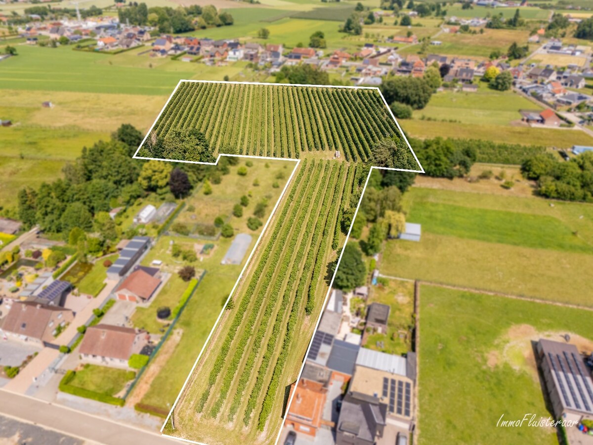 Land for sale in Herk-de-Stad