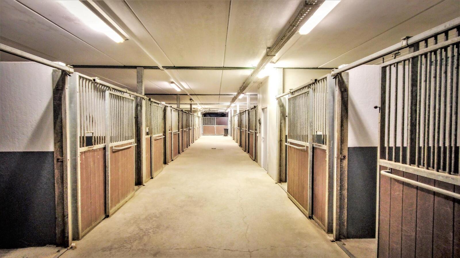 Exclusive professional equestrian center on more than 16ha at Rebecq (Walloon Brabant; Brussels; Belgium) 