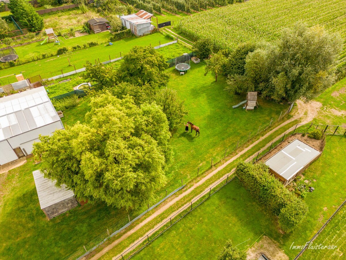 Ruime woning met bijgebouw en een loods op ca. 25 are te Kortessem 