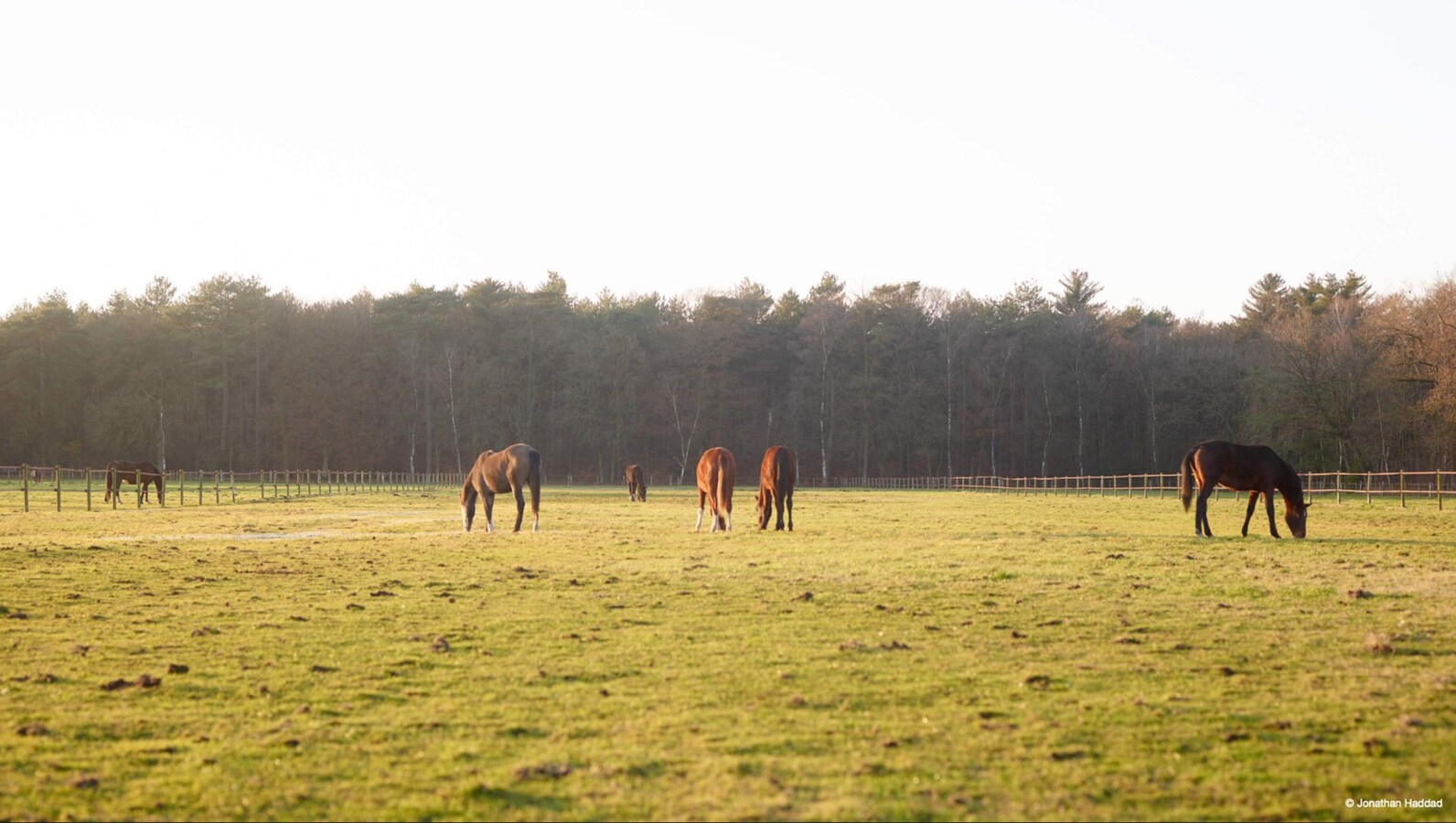 Exclusieve paardenaccommodatie op ca. 13 ha in Retie 