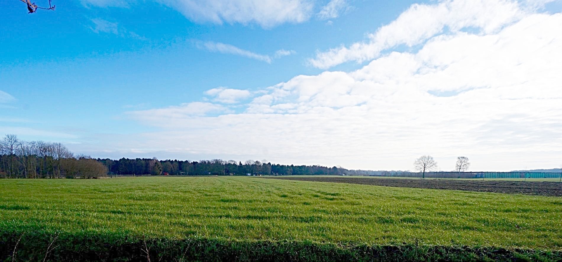 Prachtige nieuwbouw hoeve met stalgebouw, schuur en weiland op ca. 1ha te Merksplas 