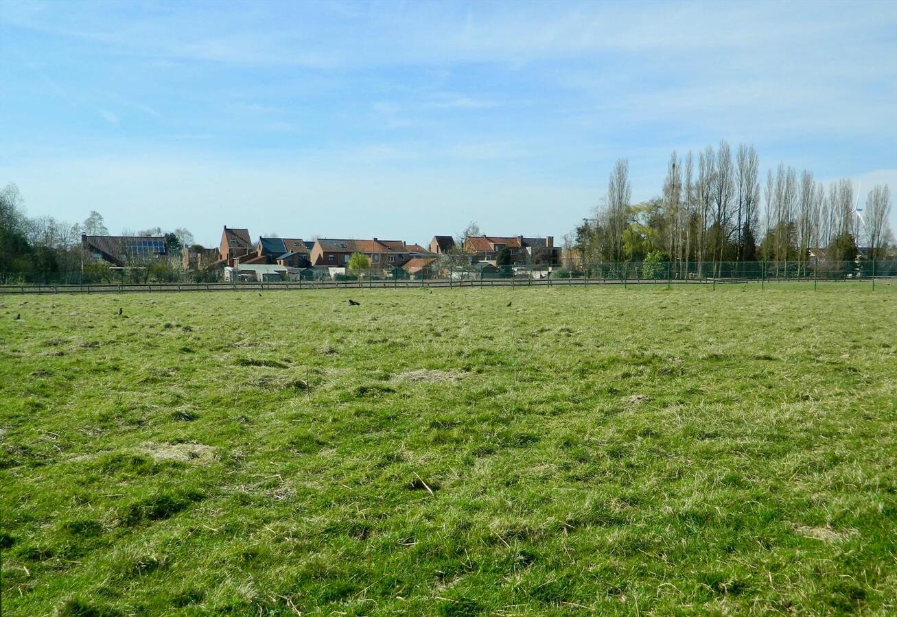 Villa met paardenstal en drafpiste op ca. 2,2ha te St-Gillis-Waas 