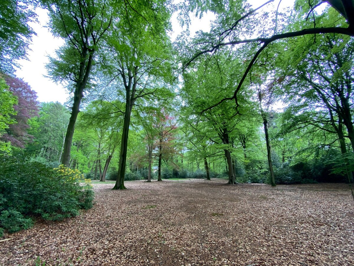 Unieke bouwgrond van 16.120 m&#178; in uiterst rustige straat te Kapellen 