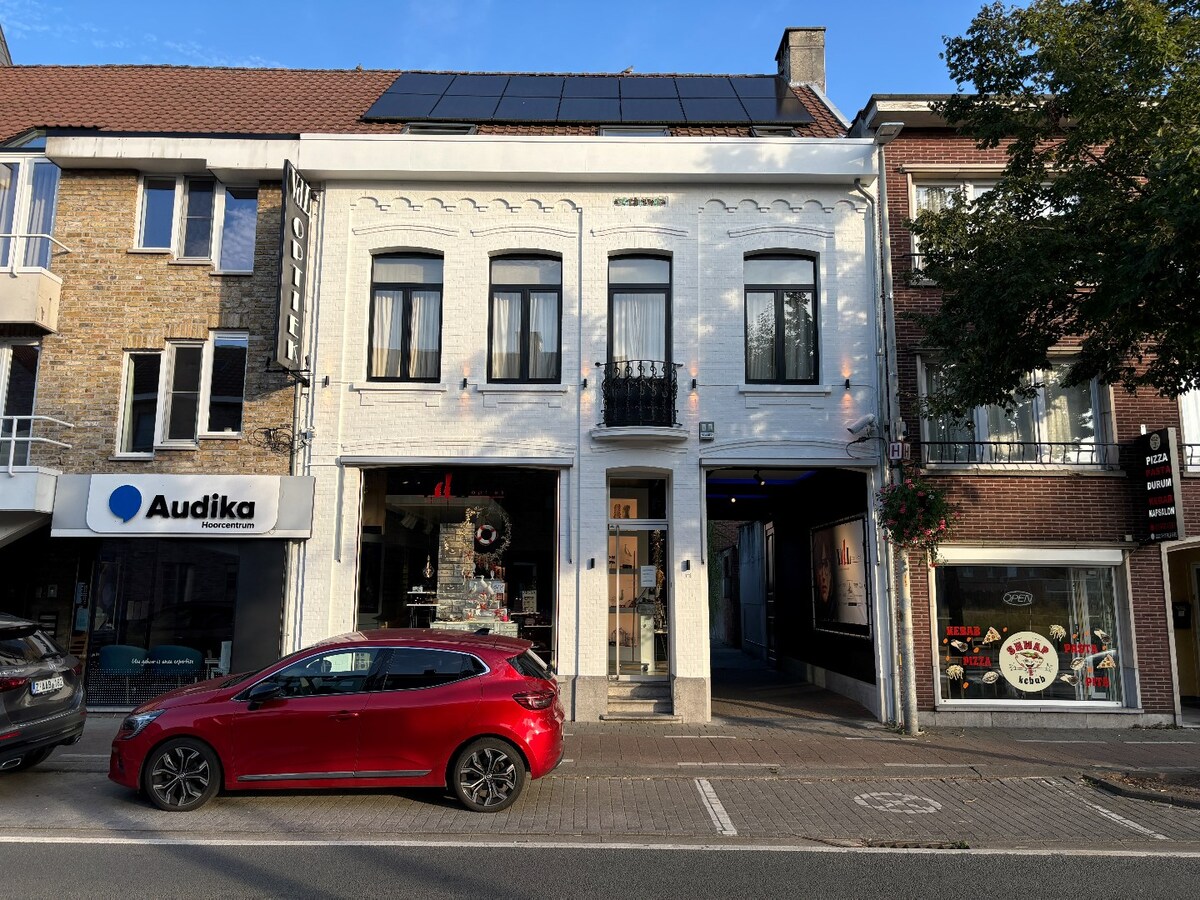 Volledig gerenoveerd dakappartement in centrum Sint-Antonius 