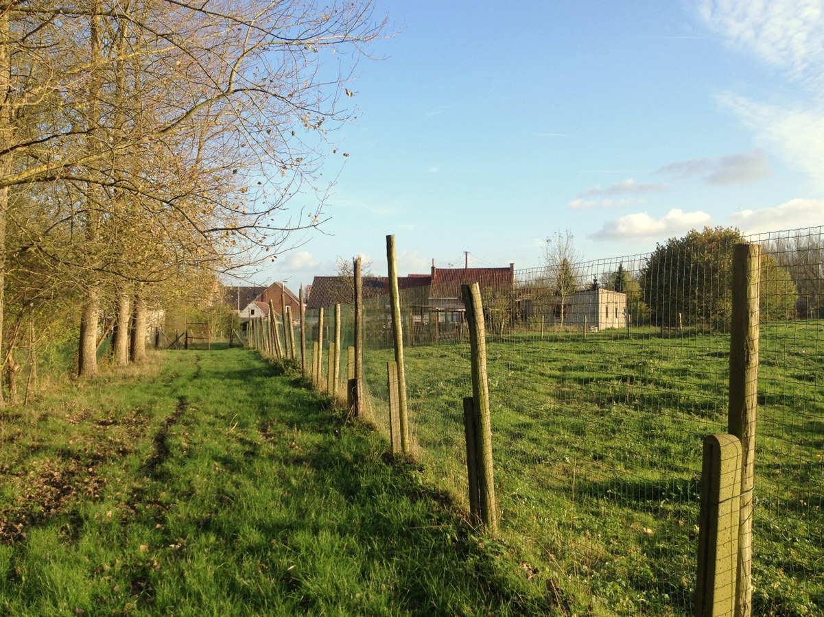 Renovatieproject op ca. 1,77ha te Geraardsbergen 