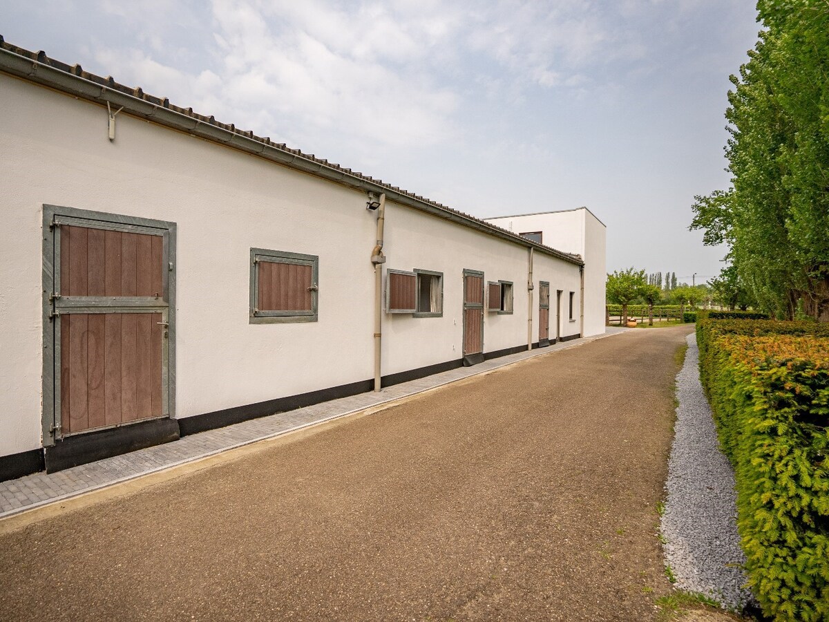 Villa moderne avec des installations &#233;questres sur environ 5,2 hectares &#224; Herselt. 