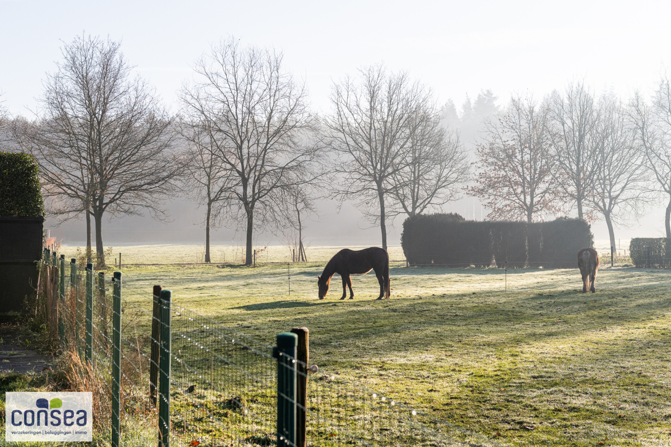 Uiterst ruime nieuwbouwwoning 