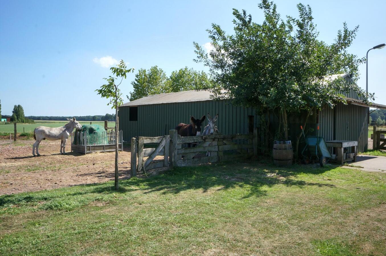 Farm sold in Merksplas