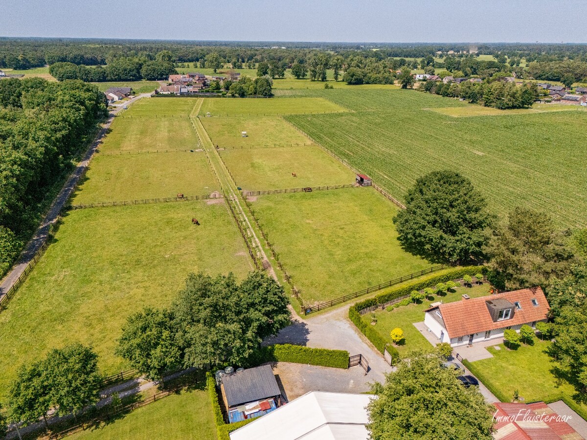 Complete horse accommodation on approximately 3.5 hectares in Helchteren 