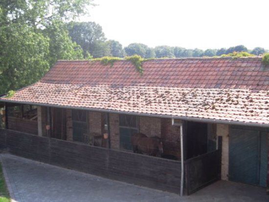 Ferme vendu À Neerglabbeek