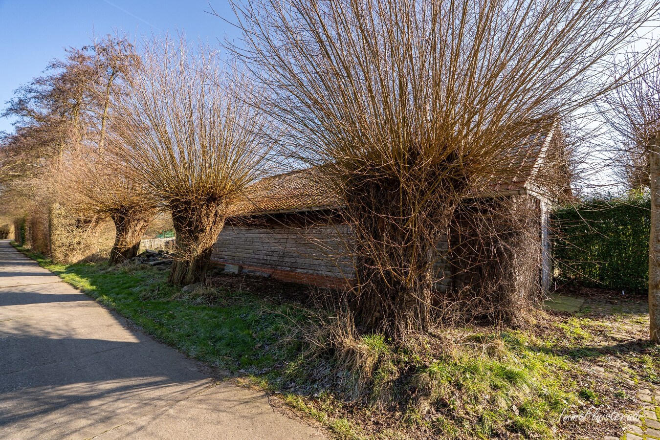 Laagbouwwoning met diverse aanhorigheden op ca. 7500 m&#178; te Ursel 