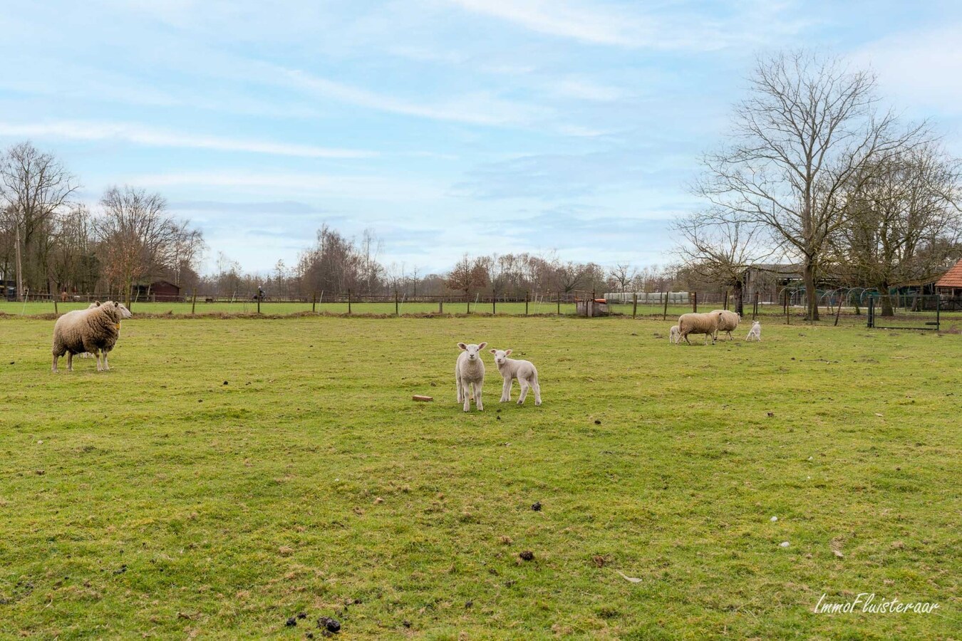 Charmante hoeve op ca. 1,2 Ha te Balen 