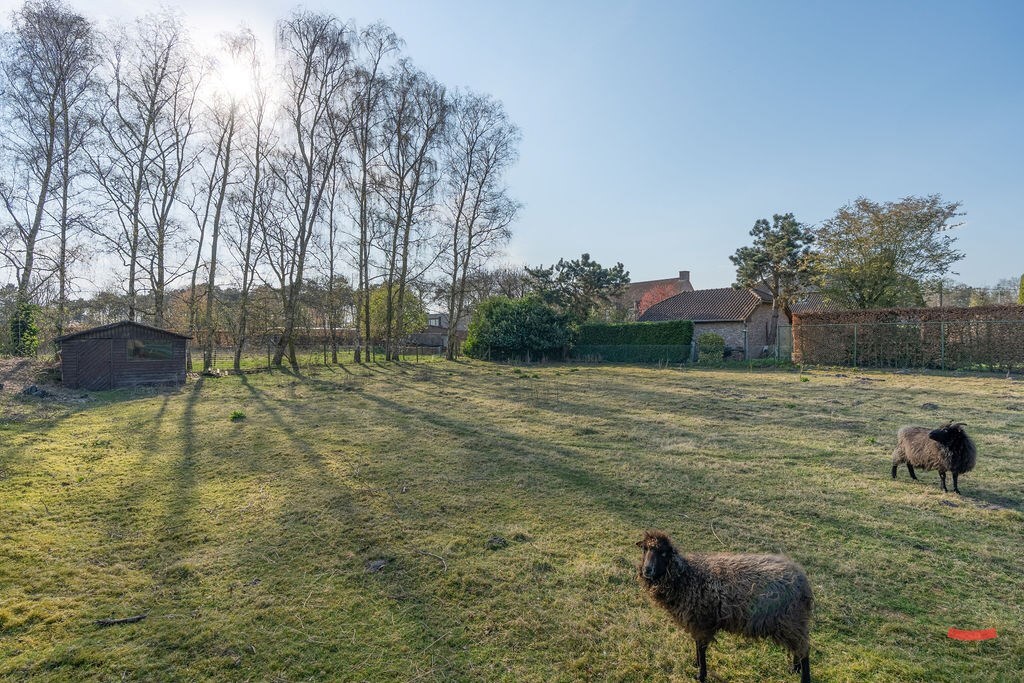 Woning te koop in Ravels