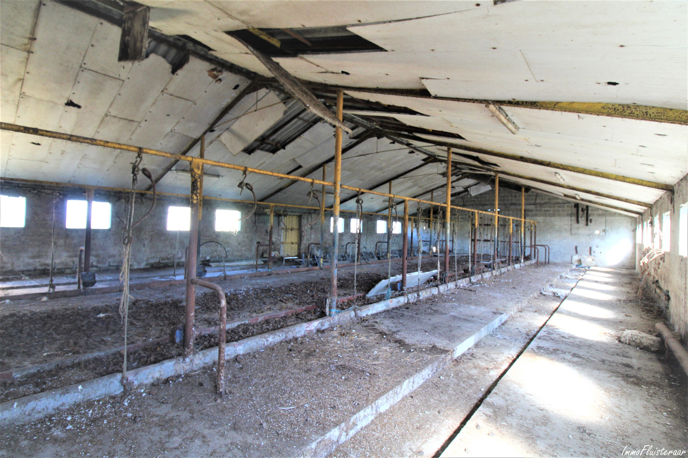 Te renoveren boerderij met hoevewoning, loods, stalgebouwen en weiland op ca. 1,61ha te Scherpenheuvel-Zichem (Vlaams-Brabant) 