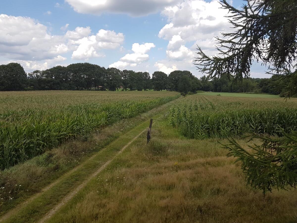 Te renoveren hoeve met stallen op een prachtige locatie (ca.4,51ha) 