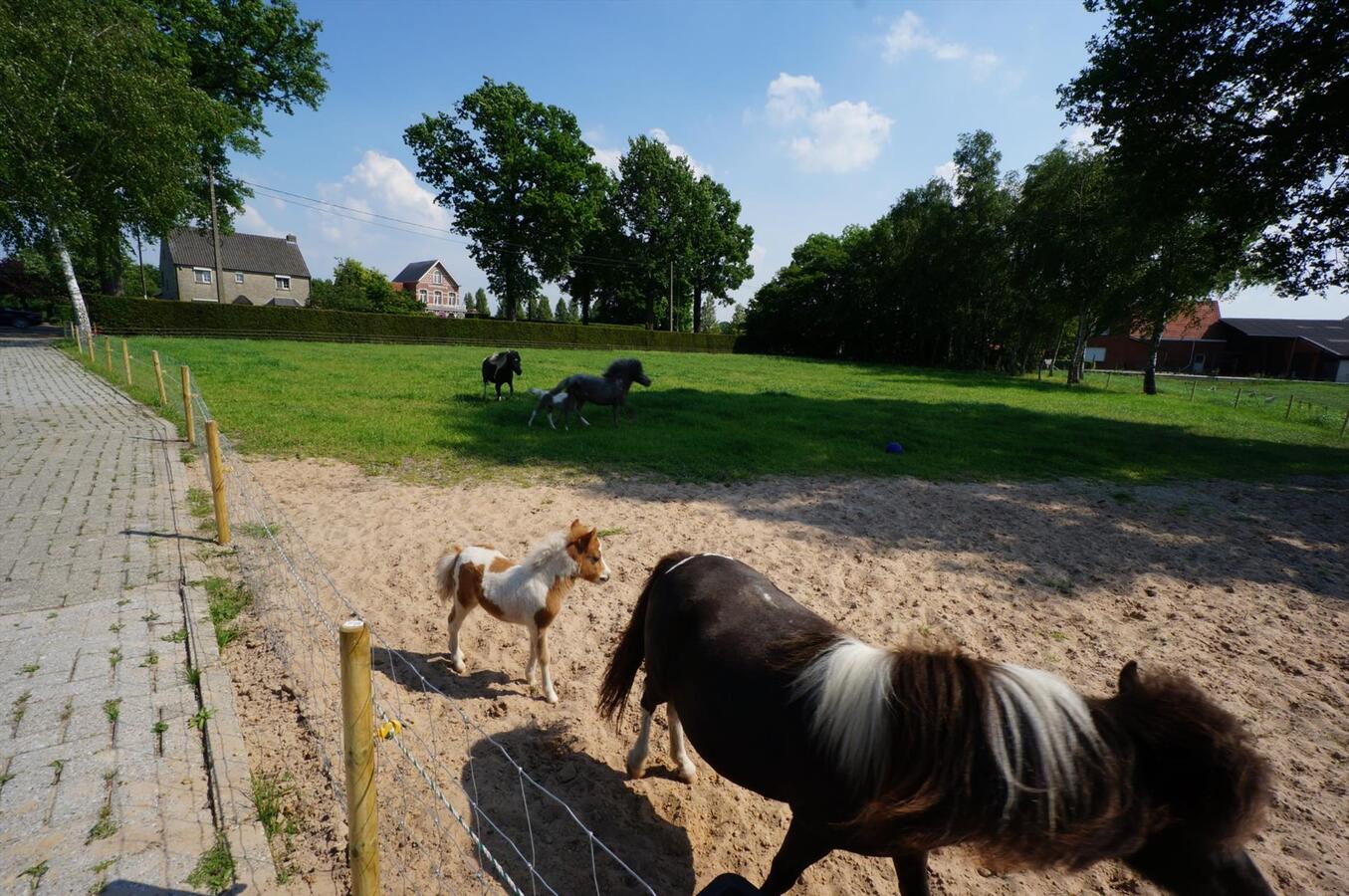 Propriété vendu À Rijkevorsel