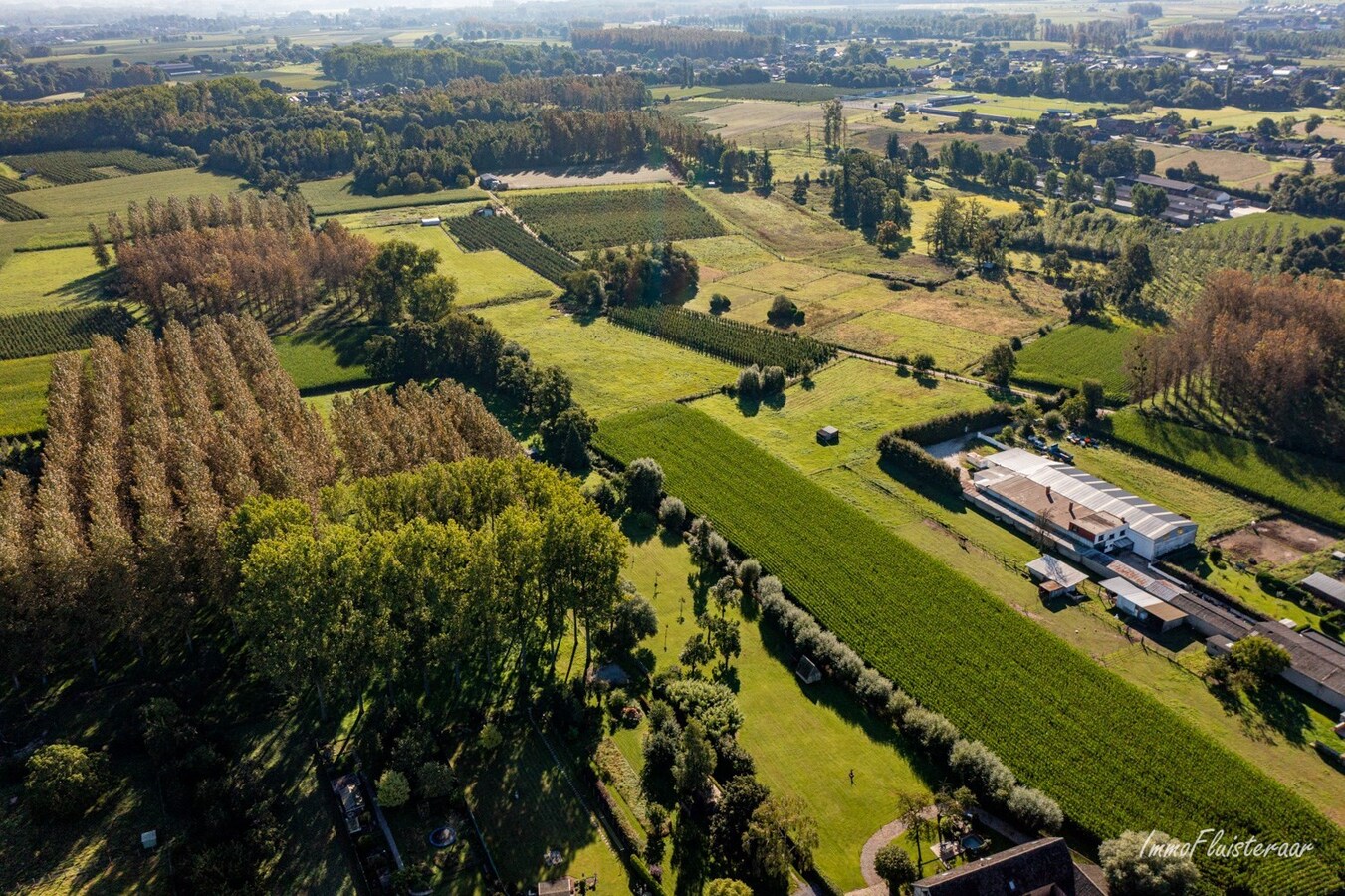 Paardenaccommodatie met binnenpiste op ca. 6ha te Wellen 