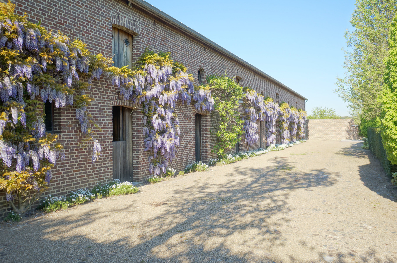 Landgoed met paardenstallen op ca. 7,5 Ha te Maaseik 