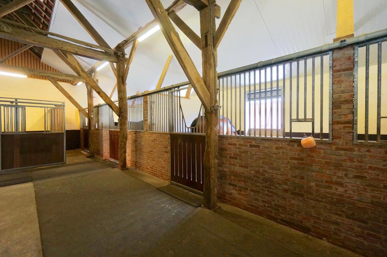 Equestrian complex in approximately 2,9ha in Weelde 