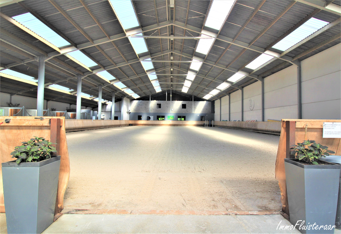 Professional recently built equestrian center on more than 3ha at Hannut (Luik/Li&#232;ge; Belgium) 