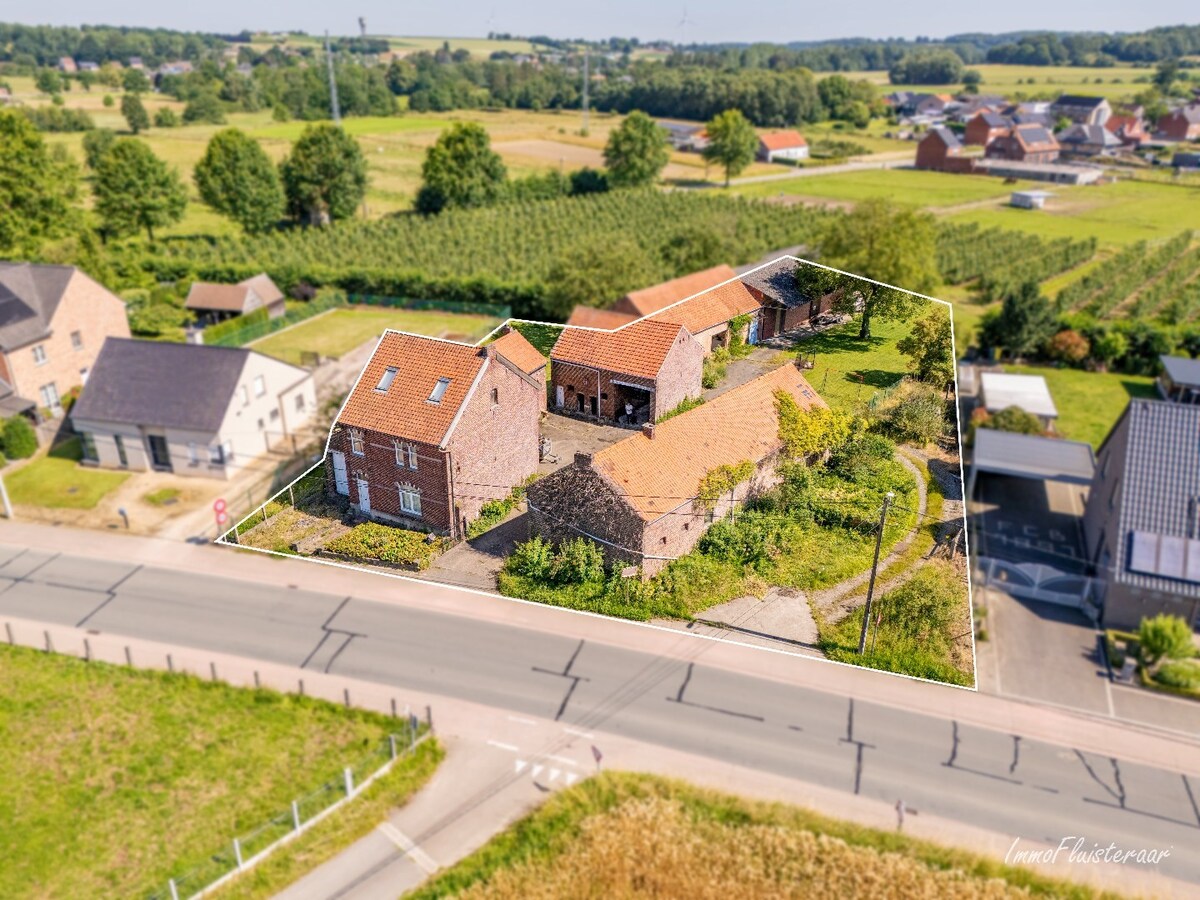 Charming renovated farmhouse on approximately 29 acres in Waanrode (Kortenaken). 