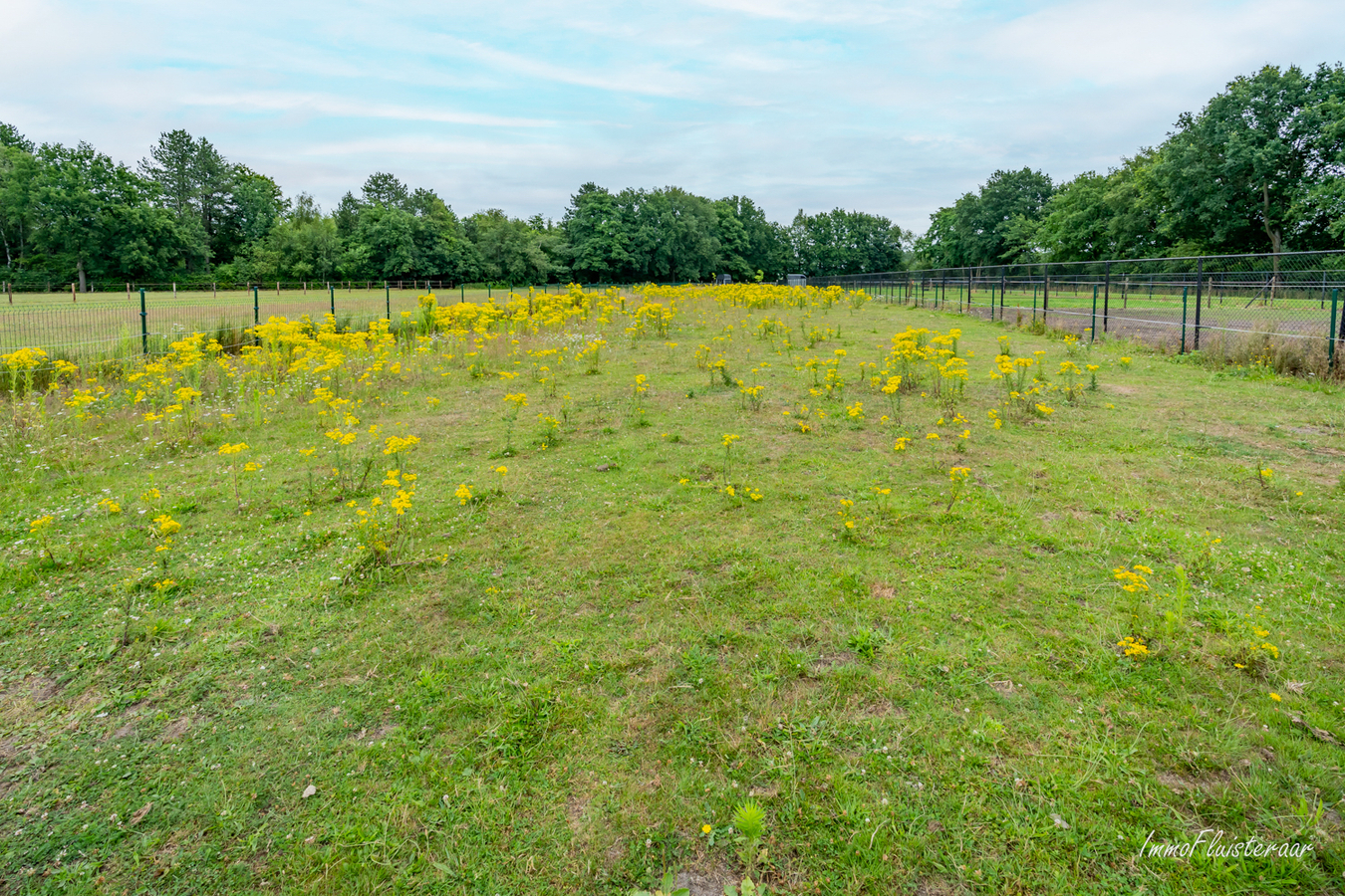 Instapklare villa met paardenstallen en weide op ca. 50 are te Leopoldsburg. 