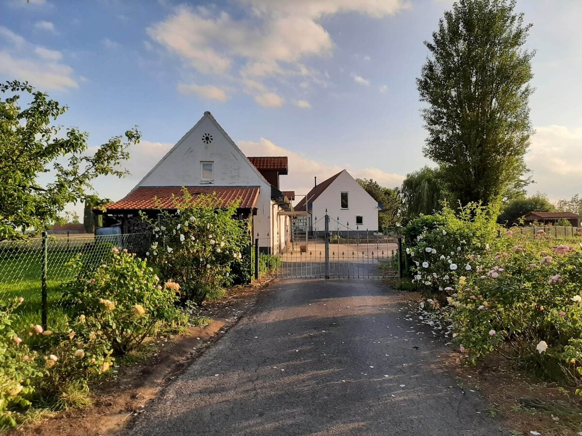 Idyllische eigendom met ruim stalgebouw en bijgebouw 