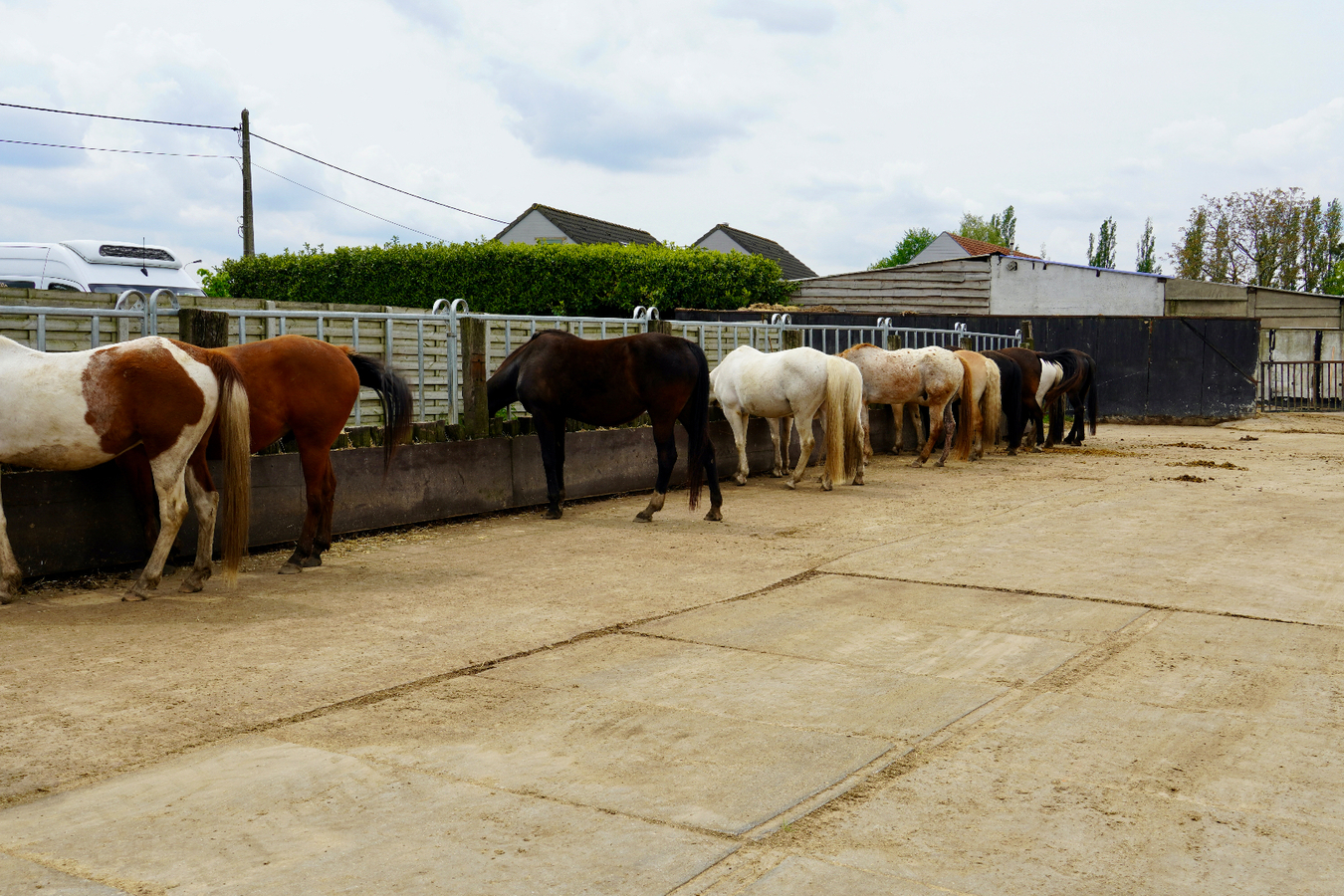 Unieke Ranch op 4,5ha te Kalmthout 