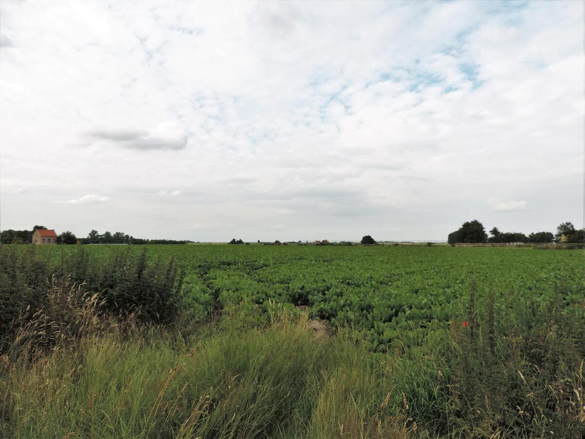 Bouw- en landbouwgrond met plannen voor een professionele paardenaccommodatie op ca. 3 ha te Tienen 