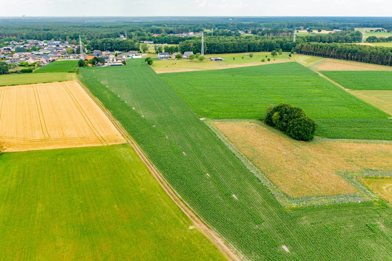 Bouwgrond met achterliggende gronden op ca. 2,5 ha te Wijshagen (Oudsbergen) 