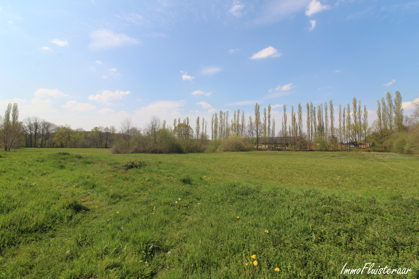 IN OPTIE - Te renoveren woning met stalgebouw/landgebouw en grond op ca. 4,20ha te Aarschot (Vlaams-Brabant) 