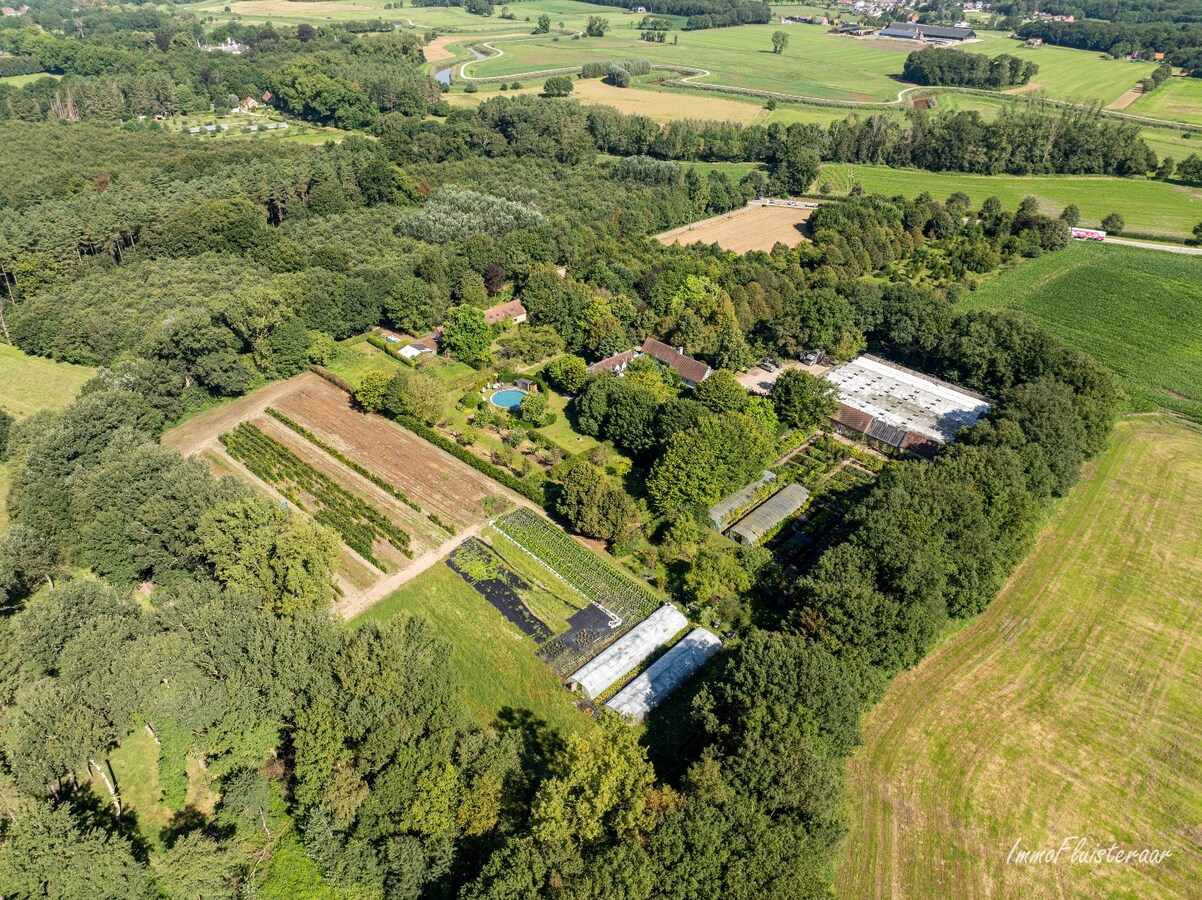 Prachtige villa met polyvalente ruimte en serres op ca. 5 ha te Itegem 