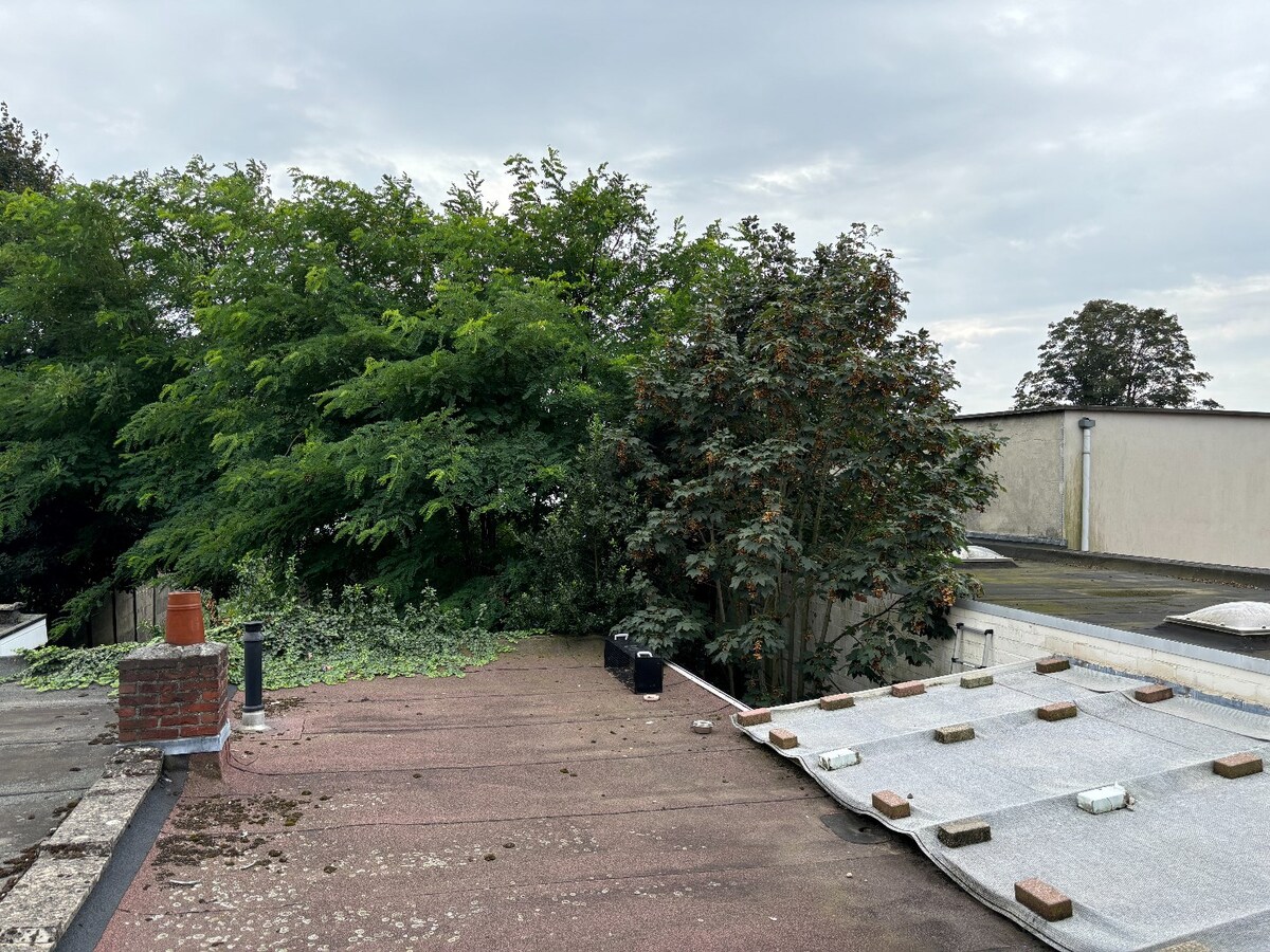 Woning in het centrum van Sint-Antonius op een perceel van 210 m&#178; met Zuid-tuin en ruime berging ca 30 m&#178; 
