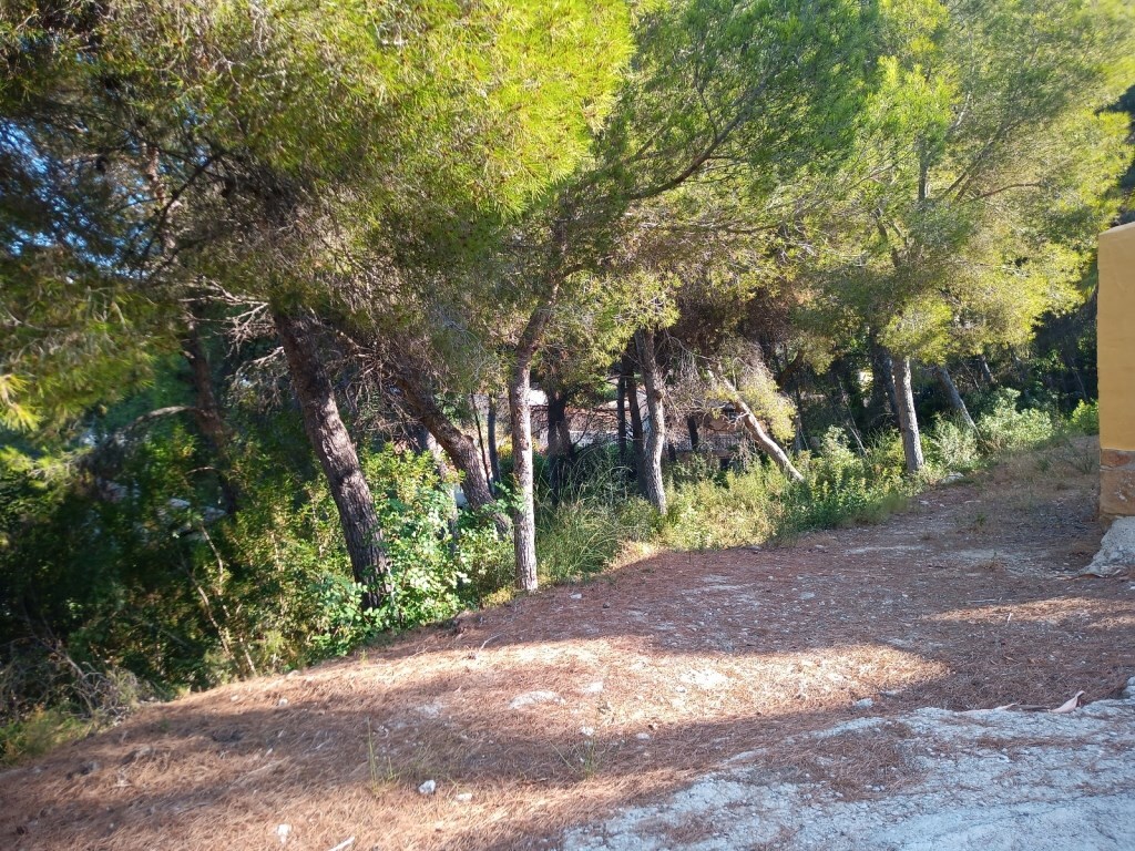 Groot stuk grond te koop dichtbij Moraira (Spanje) 