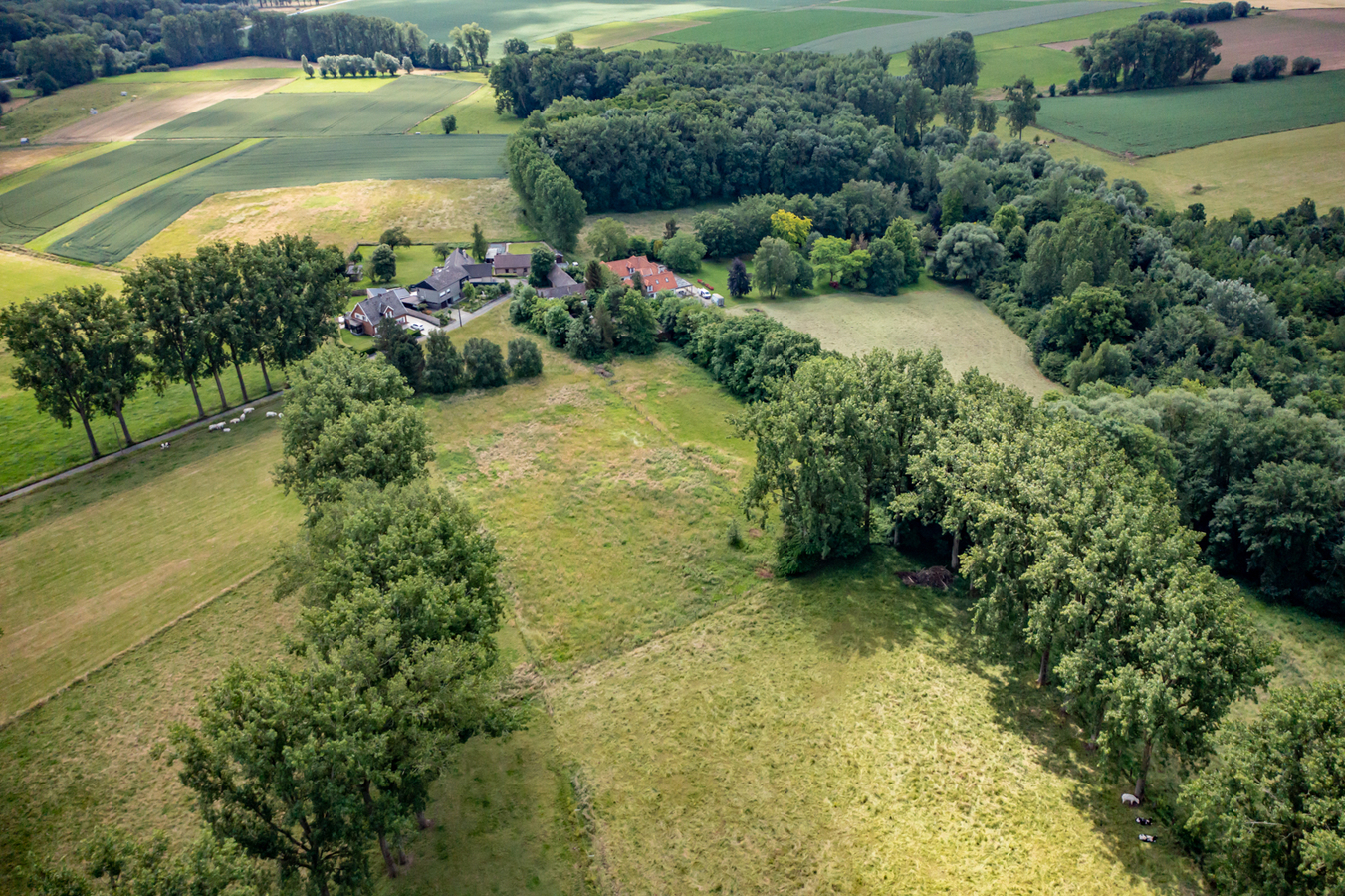 Woonst met bijgebouwen en weilanden op ca. 3,5ha 