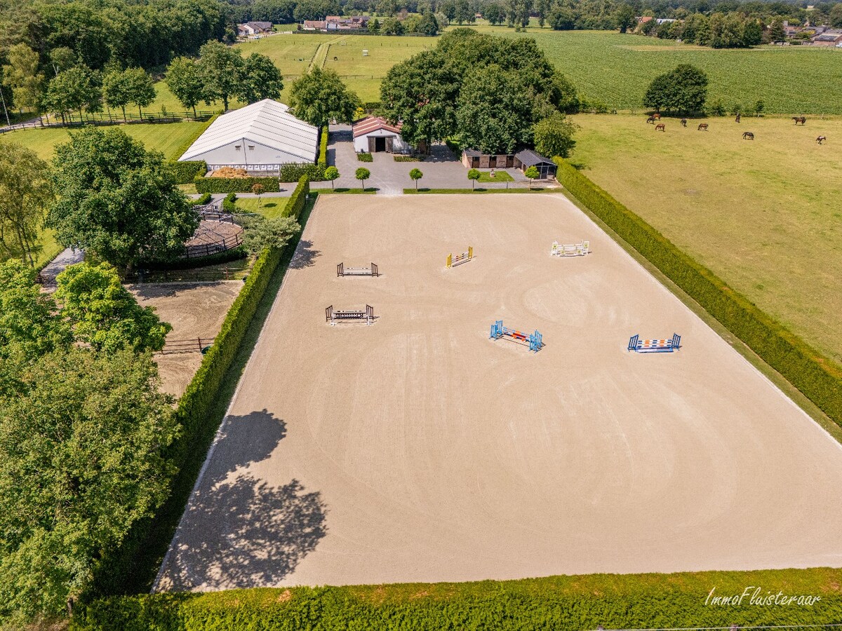 Complete horse accommodation on approximately 3.5 hectares in Helchteren 
