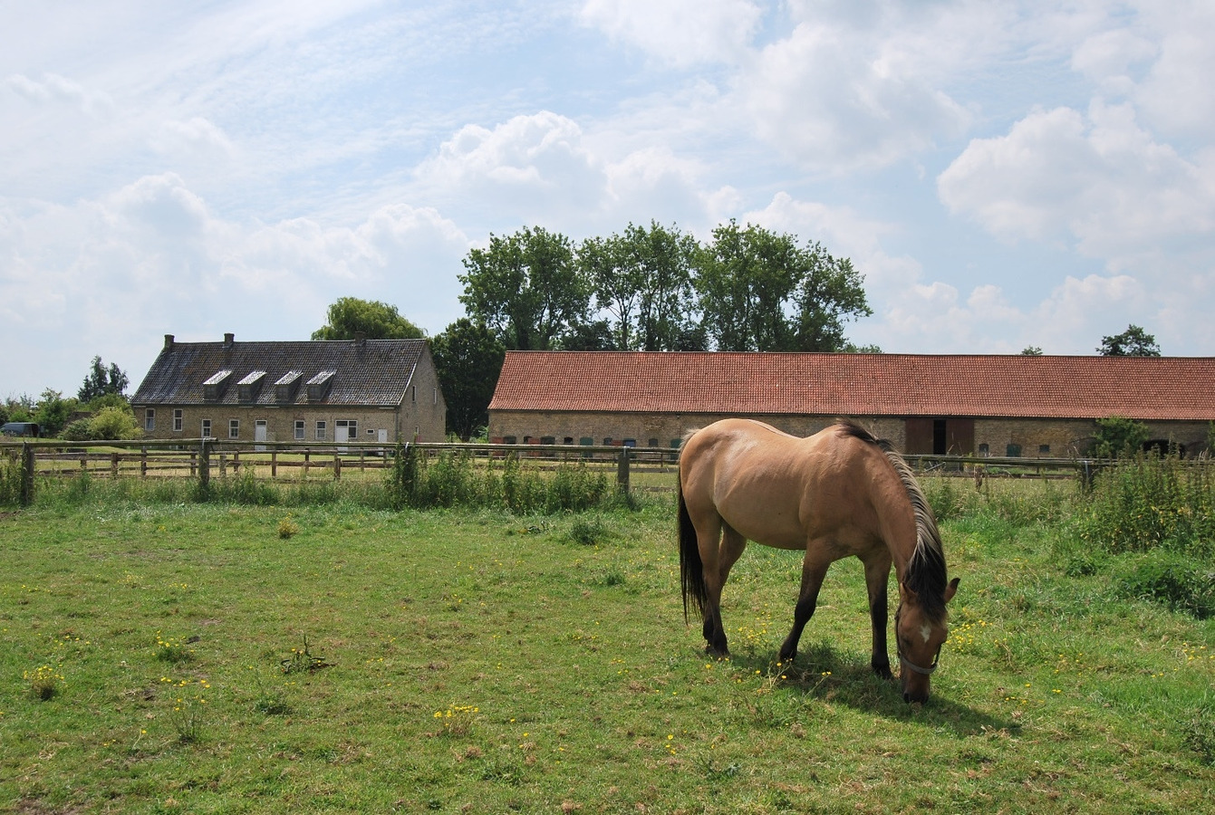 Abdijhoeve op ca. 7ha te Alveringem, Stavele 